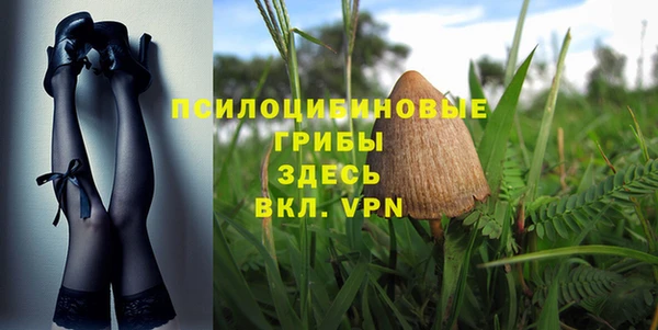 винт Алексеевка